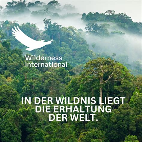 wilderness international seriös